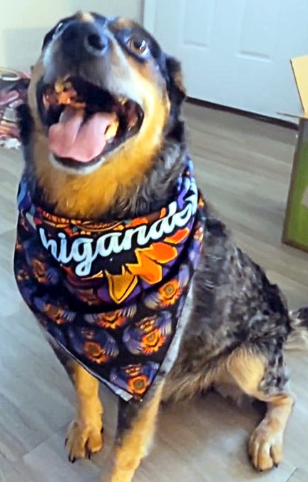 Michigander Fire Owl Bandana