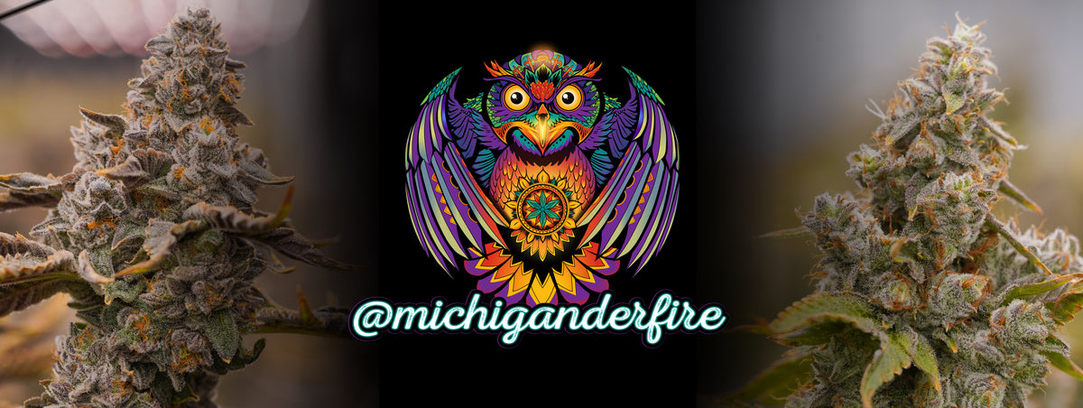 Michigander Fire Michigander Fire - Shop Apparel